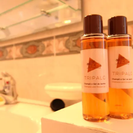 Hébergement de vacances Alcaria Grand House *